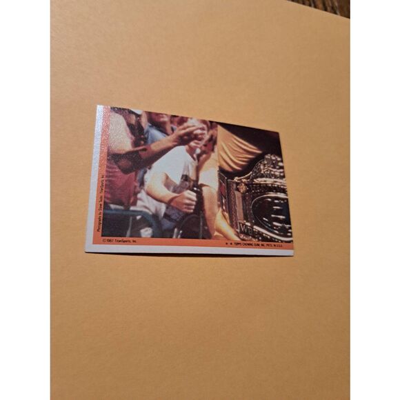 Vintage 1987 WWF Titan Sports Bret Hitman Hart Sticker Puzzle Back Trading Card - Picture 2 of 2